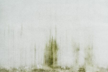 simple white, weathered wall for backgroundsの写真素材