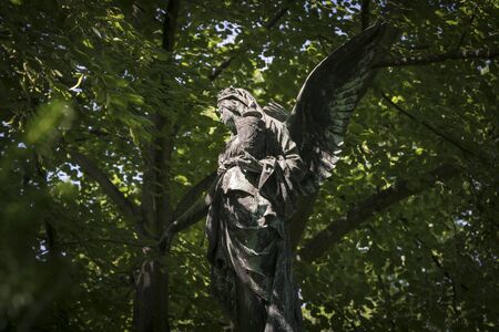 sad bronze angel with foliage backgroundの写真素材