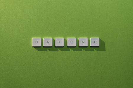 description of the word Nature on a green background