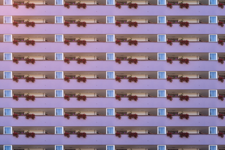 architectural pattern, purple balcony facade with geranium
