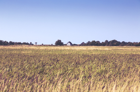 typical Hiddensee heath landscape with white cottageの写真素材