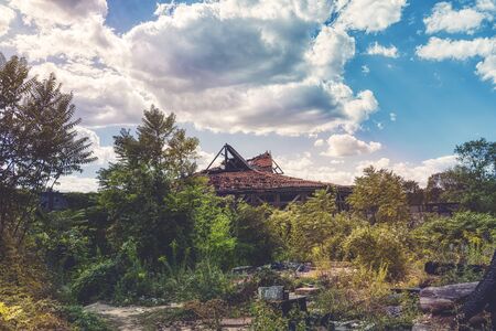 the roof of an burned out house overgrown of little trees