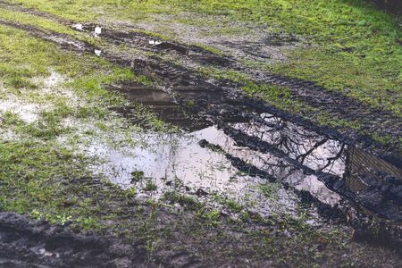 a puddle on a meadow with tire marks