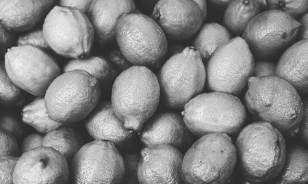 vintage black and white shot of a pile of lemonsの写真素材
