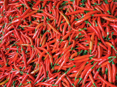Close up red spicy chilli pepper. Red spicy organic chiliの写真素材