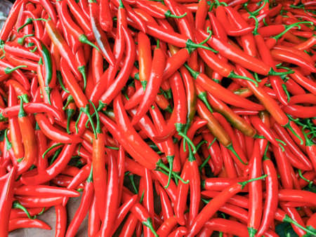 Close up red spicy chilli pepper. Red spicy organic chiliの写真素材