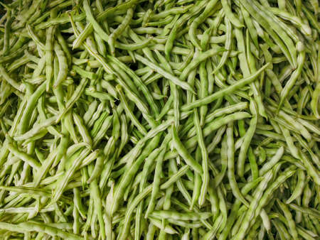 Close up green bean . Green bean for backgroundの写真素材