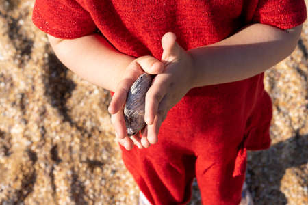 Little girl playing with a seashell on the beach in a red dress.の写真素材