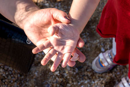 Woman's hand holds the hand of a little girl on the beach with sand.の写真素材