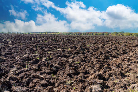 Plowed farm fields in autumn time with trees and blue sky in background.の写真素材