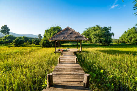 The farmer's straw house in middle of rice fields. The beautiful scene in northern thailand.の写真素材