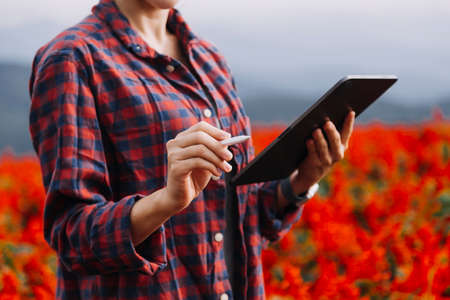 female farmer working early on farm holding wood basket of fresh vegetables and tablet