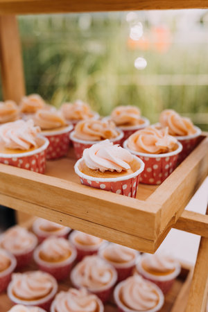 Gourmet cupcakes with white buttercream frosting and sprinkles on wooden background