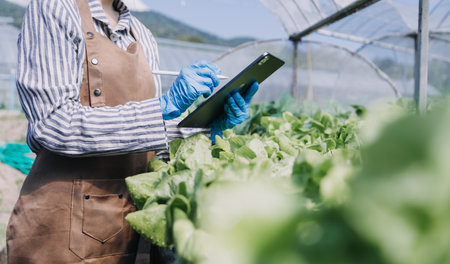 female farmer working early on farm holding wood basket of fresh vegetables and tablet