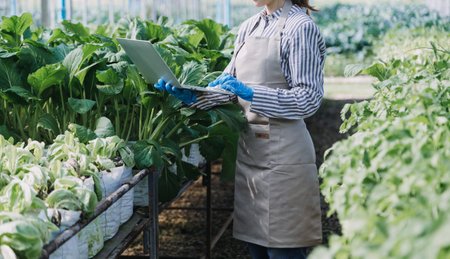 female farmer working early on farm holding wood basket of fresh vegetables and tablet