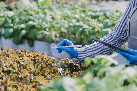 female farmer working early on farm holding wood basket of fresh vegetables and tablet