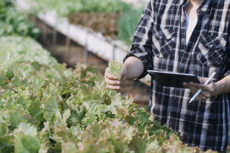 female farmer working early on farm holding wood basket of fresh vegetables and tablet