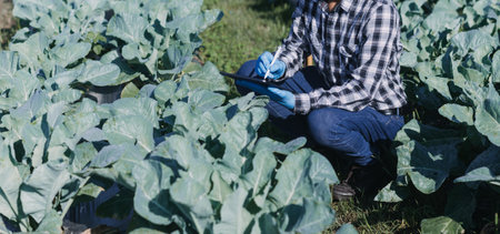 Futuristic businessman farms vegetables and crops using modern AI technology using mobile phones,...