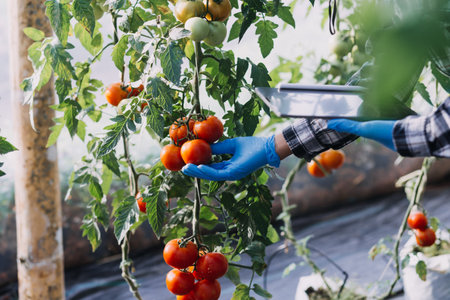 Futuristic businessman farms vegetables and crops using modern AI technology using mobile phones,...