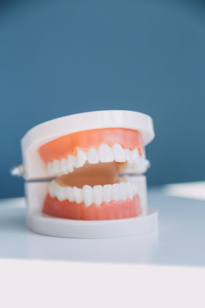 Stomatology concept, partial portrait of girl with strong white teeth looking at camera and smiling,...