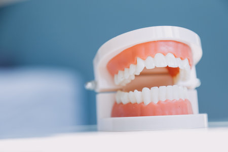 Stomatology concept, partial portrait of girl with strong white teeth looking at camera and smiling, fingers near face. Closeup of young woman at dentist's, studio, indoorsの写真素材