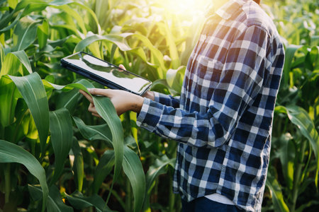 Asian woman and man farmer working together in organic hydroponic salad vegetable farm. using tablet inspect quality of lettuce in greenhouse garden. Smart farmingの写真素材