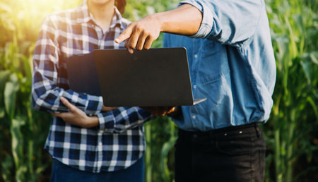 Asian woman and man farmer working together in organic hydroponic salad vegetable farm. using tablet inspect quality of lettuce in greenhouse garden. Smart farmingの写真素材