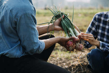 Asian woman and man farmer working together in organic hydroponic salad vegetable farm. using tablet inspect quality of lettuce in greenhouse garden. Smart farmingの写真素材