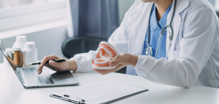 Male dentist with plastic jaw model on light backgroundの写真素材