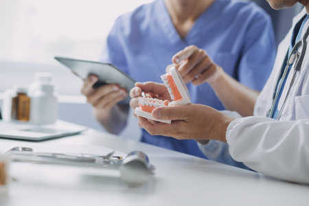 Male dentist with plastic jaw model on light backgroundの写真素材