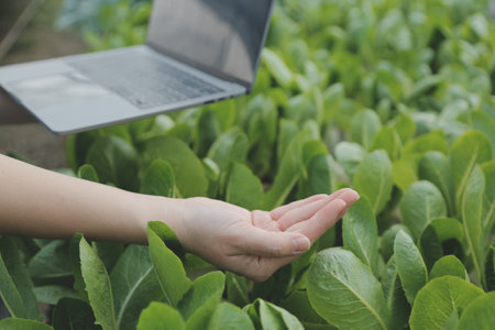 Asian woman farmer using digital tablet in vegetable garden at greenhouse, Business agriculture...