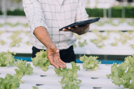 Farmer Plantation checking quality by tablet agriculture modern technology Concept. Smart farming, using modern technologies in agriculture. Man agronomist farmer with digital tablet computer.の写真素材
