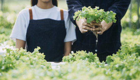 Farmer Plantation checking quality by tablet agriculture modern technology Concept. Smart farming, using modern technologies in agriculture. Man agronomist farmer with digital tablet computer.の写真素材