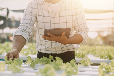 Farmer Plantation checking quality by tablet agriculture modern technology Concept. Smart farming, using modern technologies in agriculture. Man agronomist farmer with digital tablet computer.の写真素材