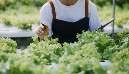 Farmer Plantation checking quality by tablet agriculture modern technology Concept. Smart farming, using modern technologies in agriculture. Man agronomist farmer with digital tablet computer.の写真素材