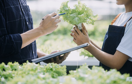 Farmer man and woman using laptop examing quality at vegetable hydroponic at greenhouse. Concept of...