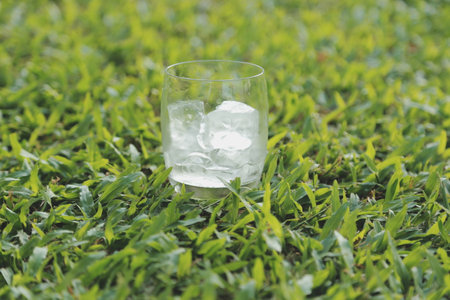 a glass of water with ice on nature background.の写真素材