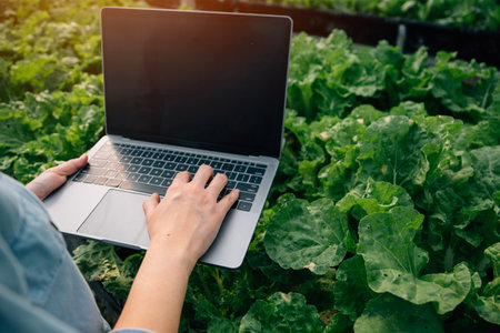 Asian woman farmer using digital tablet in vegetable garden at greenhouse, Business agriculture technology concept, quality smart farmer.の写真素材