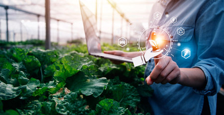 Smart farmer using application by tablet concepts modern vegetables and gardening lettuce at greenhouse. and visual icon.の写真素材
