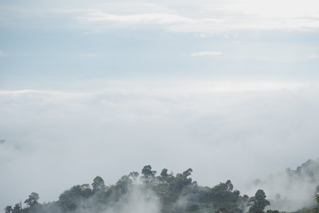Mountain range with visible silhouettes through the morning blue fog.