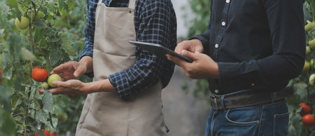 In the Industrial Greenhouse Two Agricultural Engineers Test Plants Health and Analyze Data with...