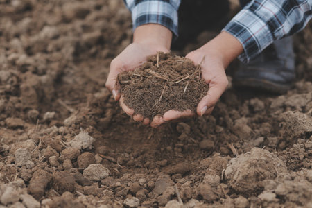 Symbol heart earth day. Handful of dirt hands heart shape. Farm organic earth. Farmer hands soil...