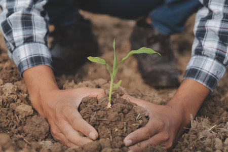 Symbol heart earth day. Handful of dirt hands heart shape. Farm organic earth. Farmer hands soil ground earth dirt garden soil farm ground. Male hands full of fertile land field agriculture conceptの写真素材