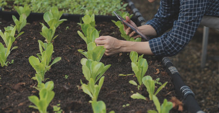 In the Industrial Greenhouse Two Agricultural Engineers Test Plants Health and Analyze Data with...