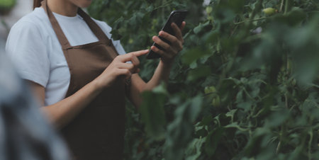 In the Industrial Greenhouse Two Agricultural Engineers Test Plants Health and Analyze Data with...