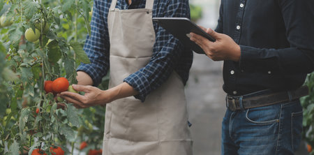 In the Industrial Greenhouse Two Agricultural Engineers Test Plants Health and Analyze Data with Tablet Computer.の写真素材