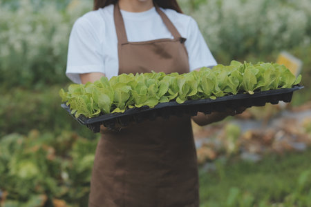 Hands holding big plate with different fresh farm vegetables. Autumn harvest and healthy organic food conceptの写真素材