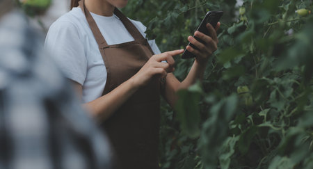 In the Industrial Greenhouse Two Agricultural Engineers Test Plants Health and Analyze Data with Tablet Computer.の写真素材
