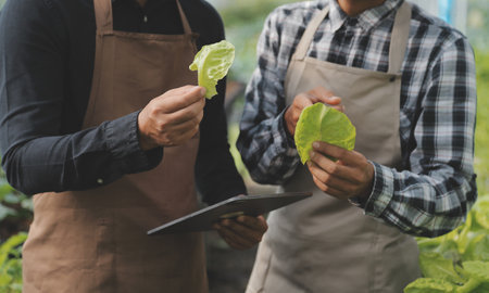In the Industrial Greenhouse Two Agricultural Engineers Test Plants Health and Analyze Data with...