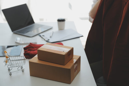 Online seller owner. Online shopping. Business Start up SME concept. Young startup entrepreneur small business owner working at home, packaging and delivery situation.の写真素材
